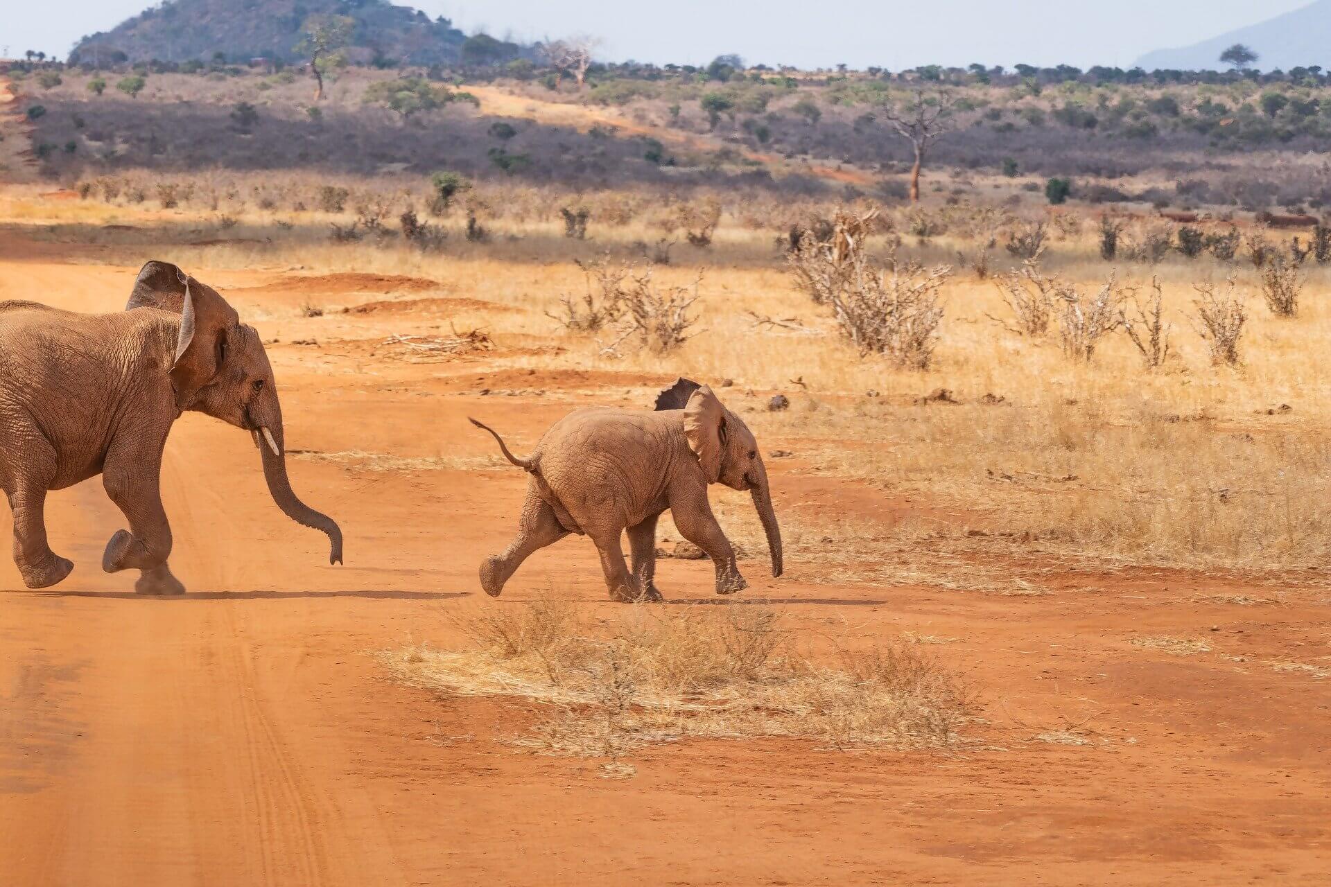 Reiseziele in Afrika im Juli 2021: Wohin reisen in der Sonne?