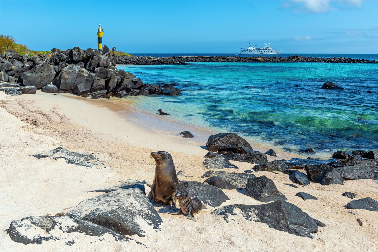 Beste Reisezeit f r Santa Cruz Klima und Wetter. DIE Beste Zeit