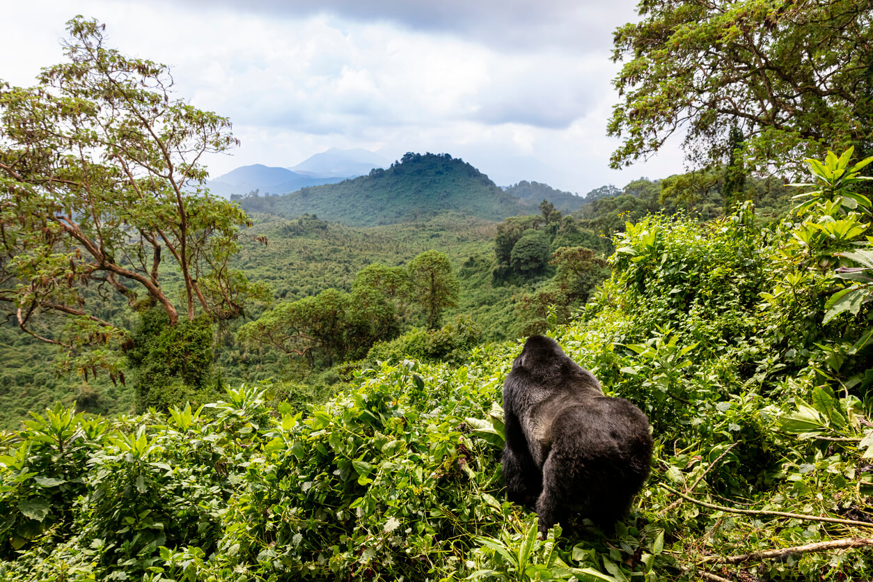 Wetter in Ruanda im April 2021 - Klima und Temperatur im April