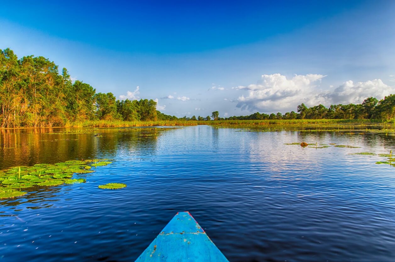 Wetter in Surinam im August 2021 - Klima und Temperatur im ...